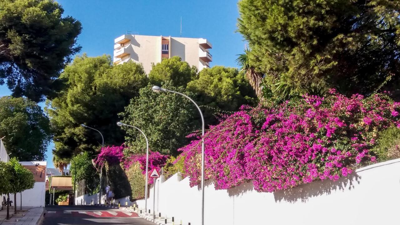 Duquesa De Espana توريمولينوس المظهر الخارجي الصورة